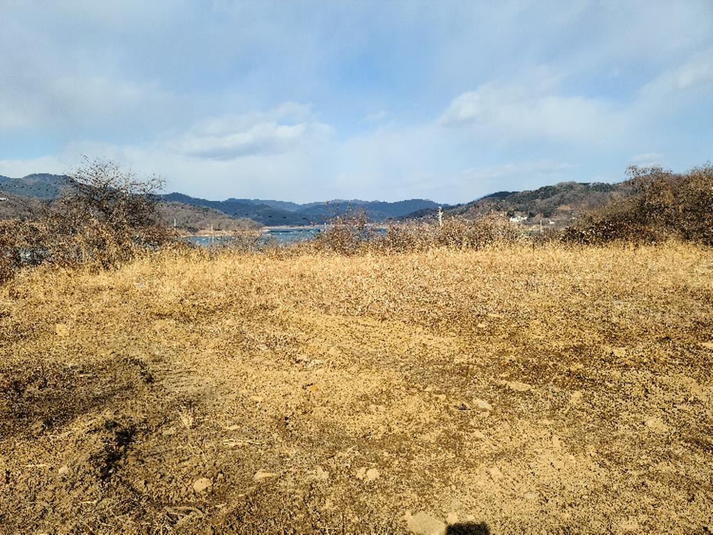 대병