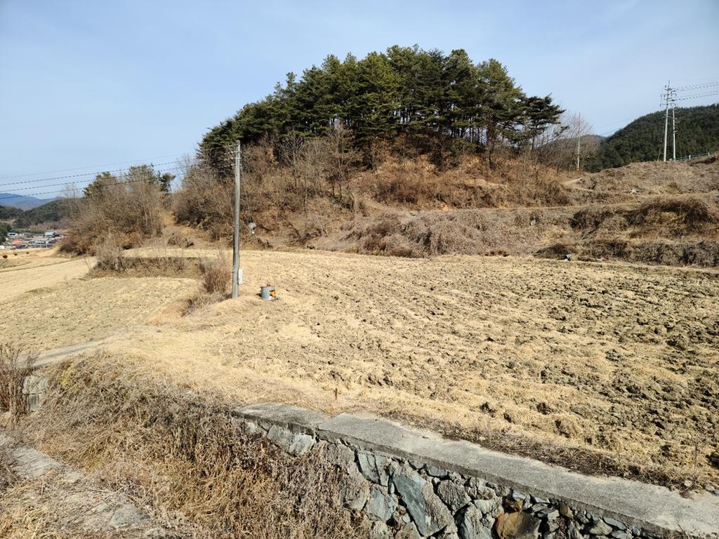 묘산면