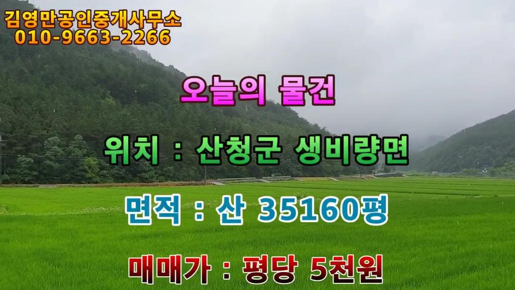 산청군 임야