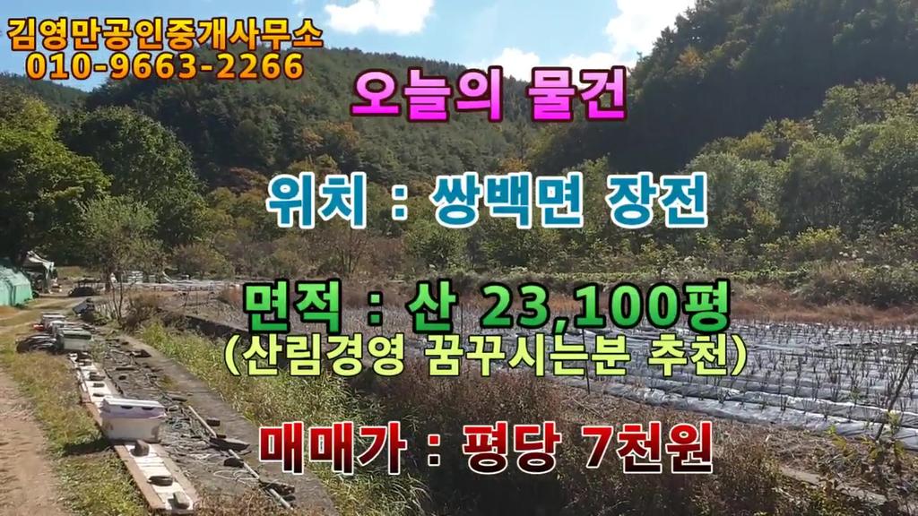 쌍백