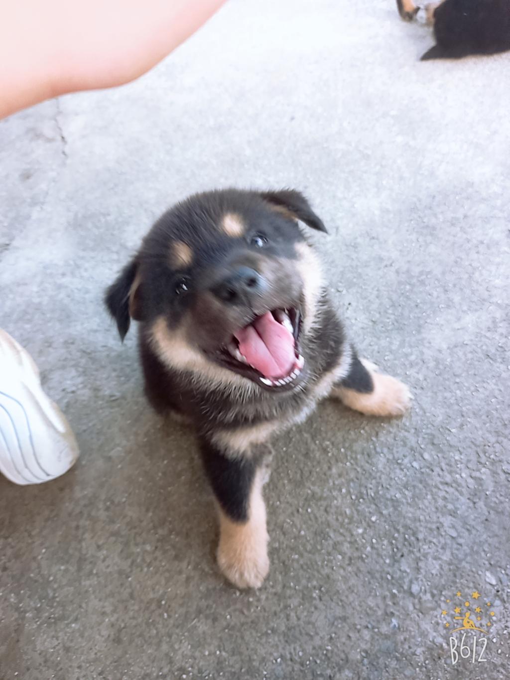 첫째