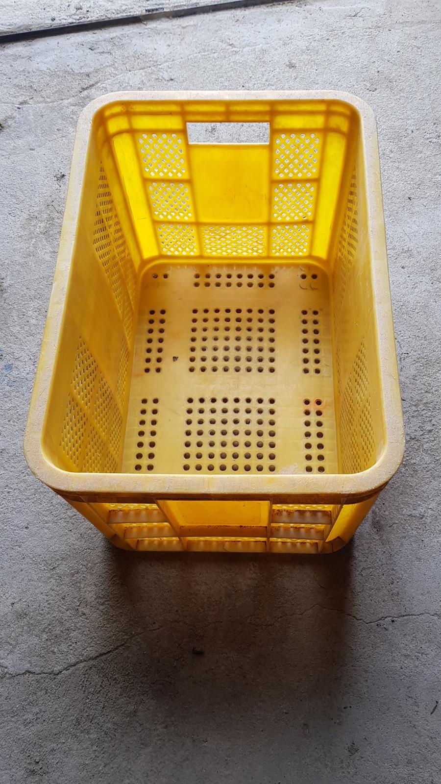 감상자