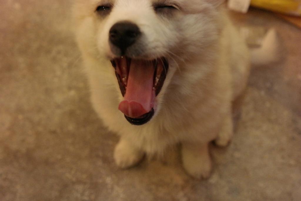 예쁘게 생긴 여아에요