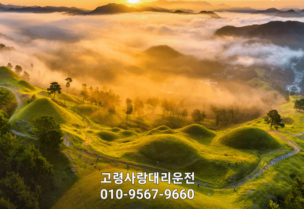 상담연락처