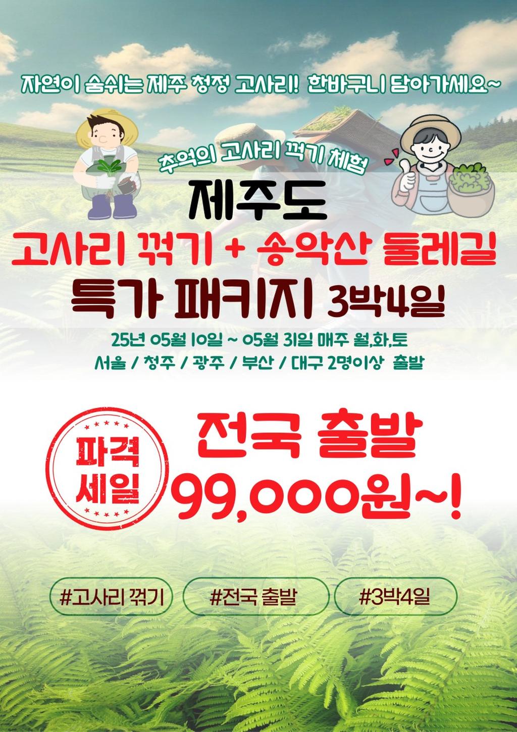 고사리1