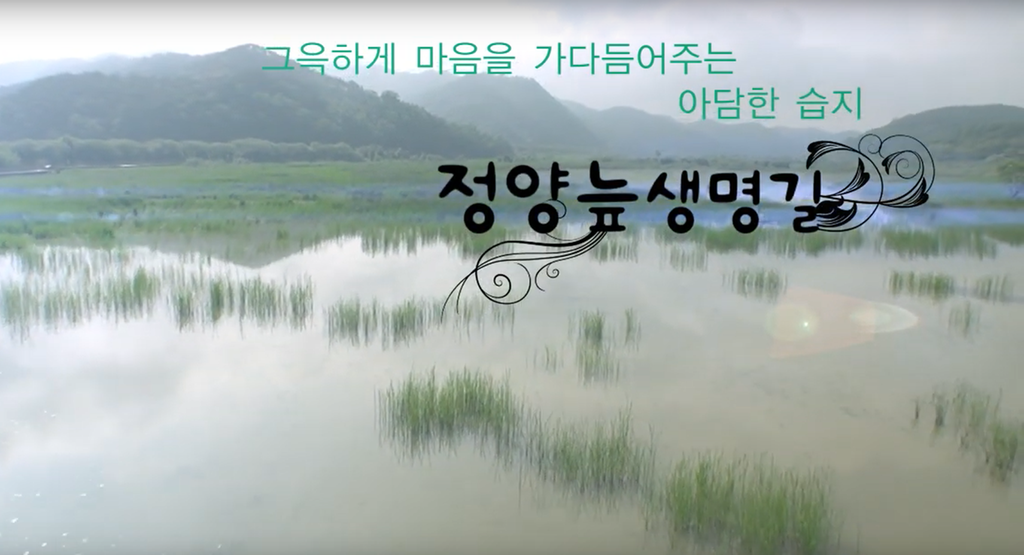 정양늪 생명길