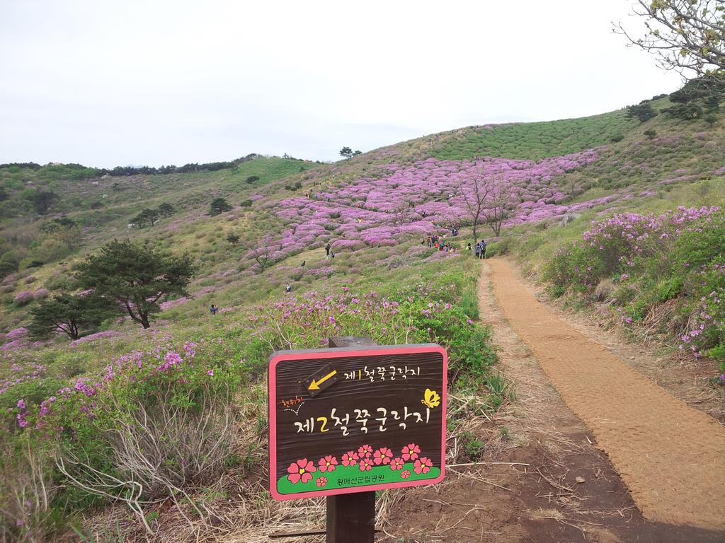 2014.05.04