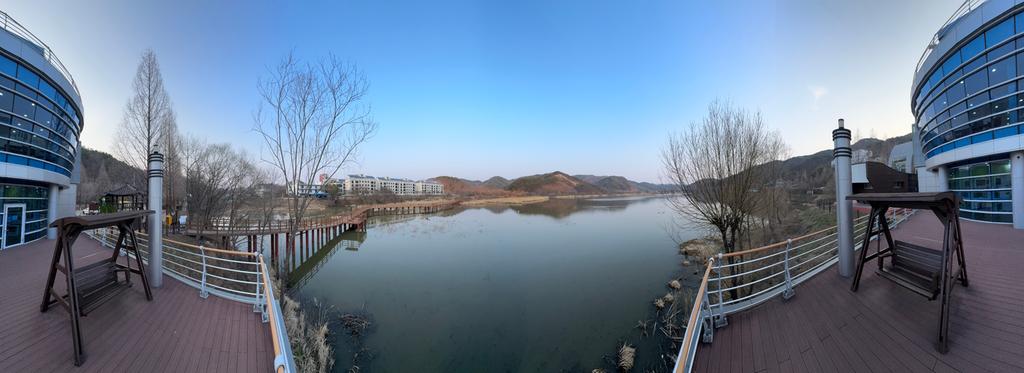 돌을 내려놓는 늪지