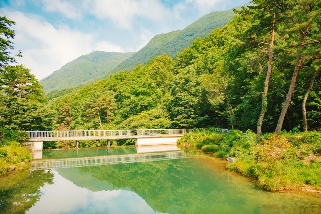 오도산 자연휴양림