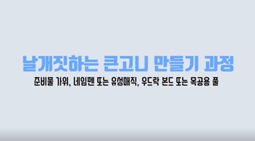 날개짓하는큰고니