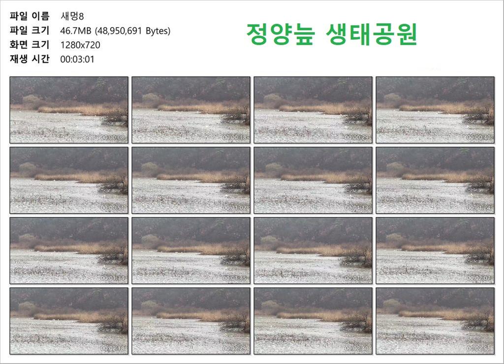 새멍