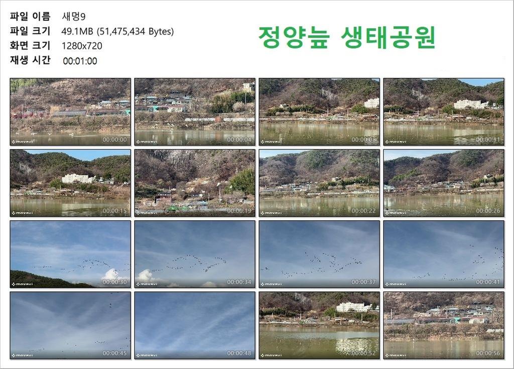 새멍
