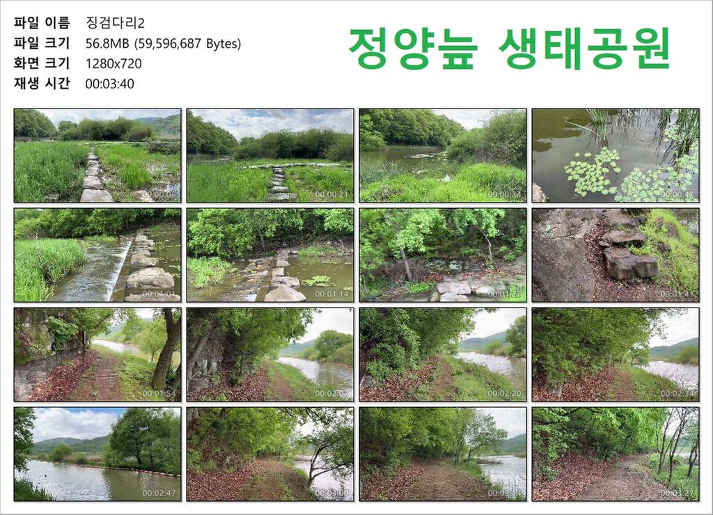 징검다리2