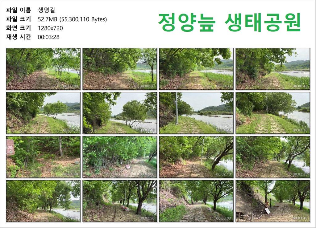 생명길