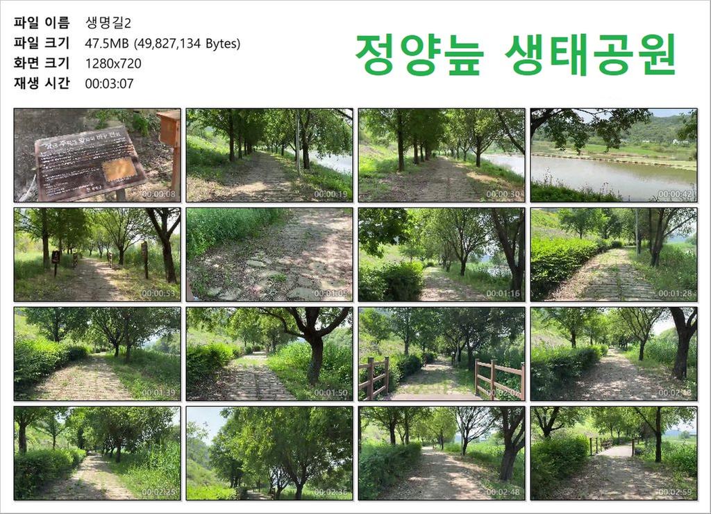 생명길2
