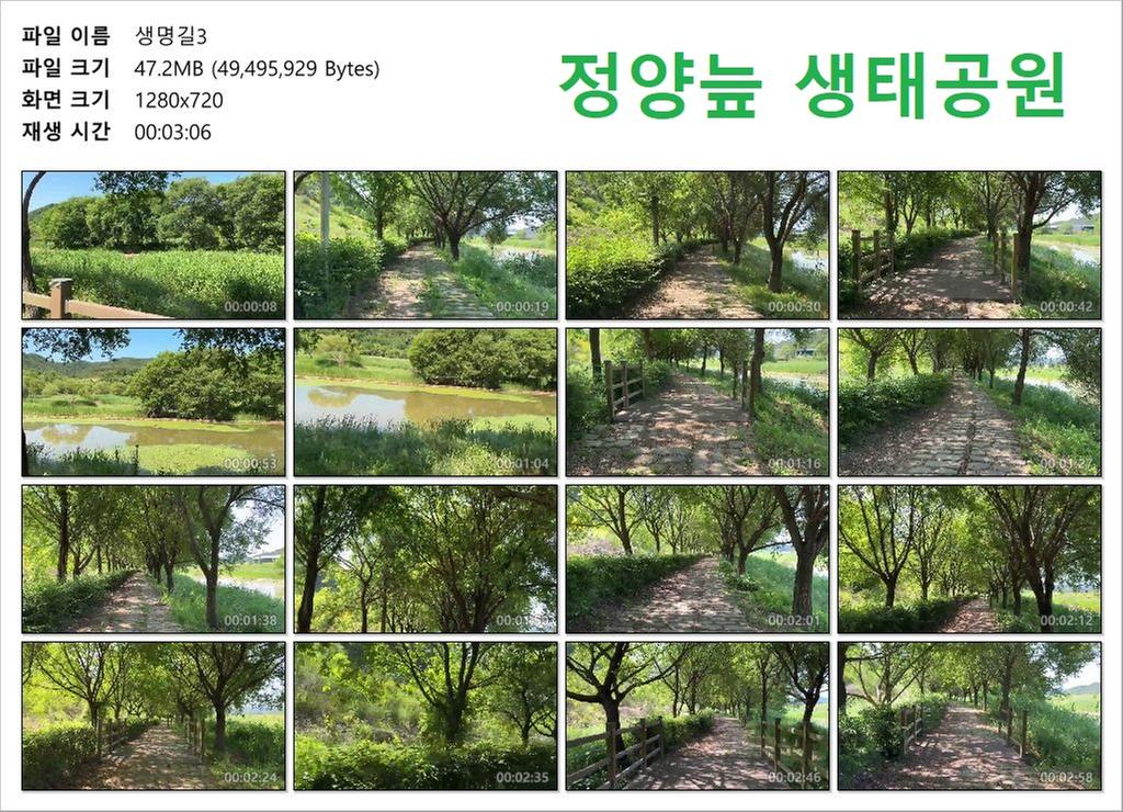 생명길3