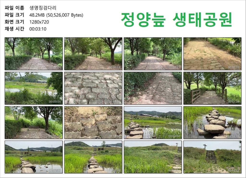 생명징검다리