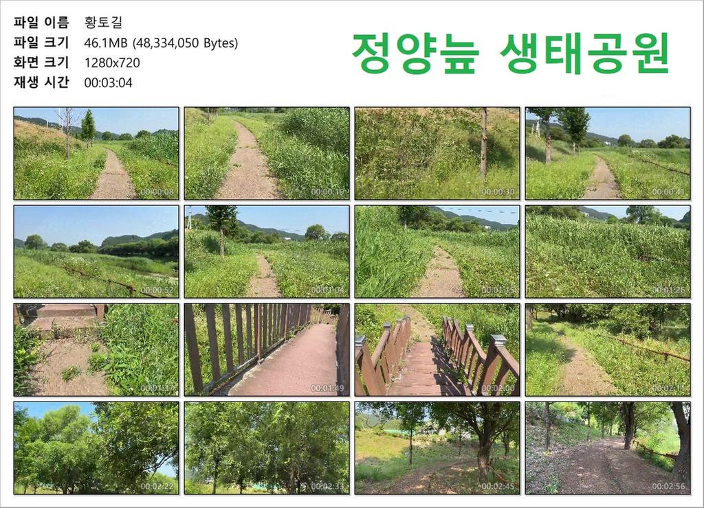 황토길