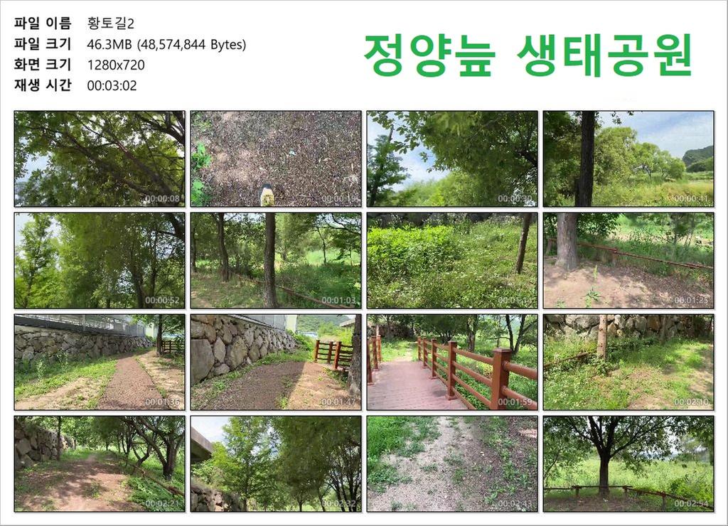 황토길2