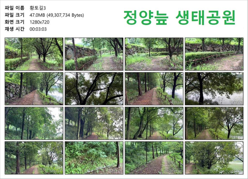 황토길3
