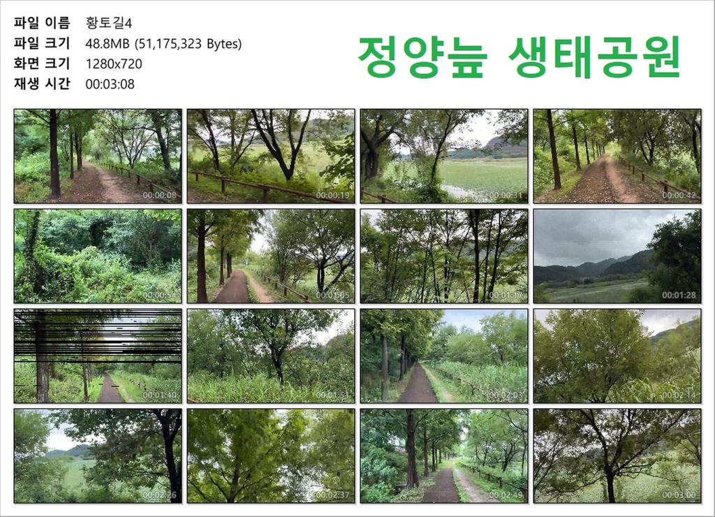 황토길4