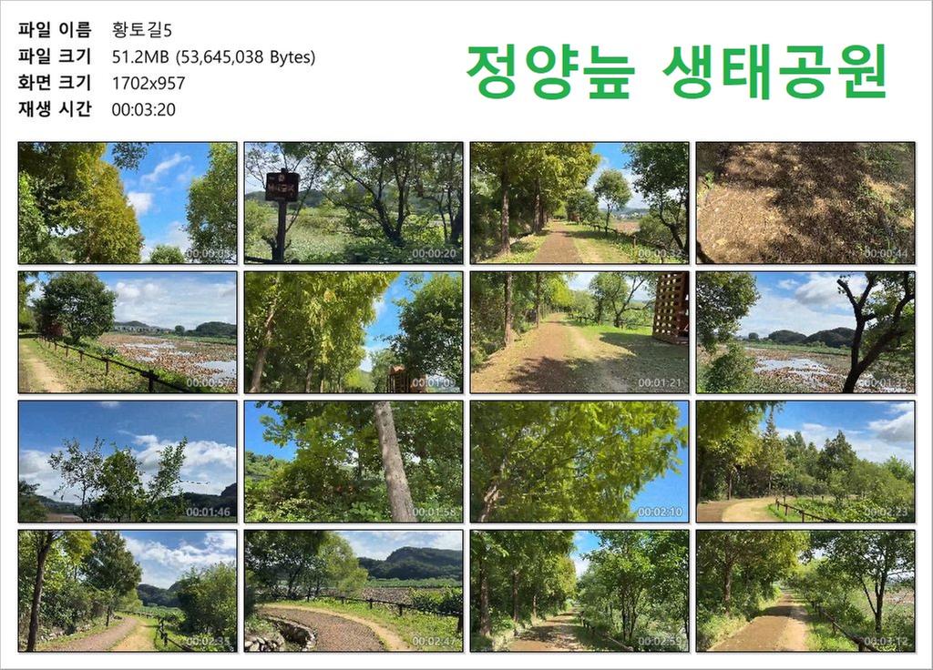 황토길5