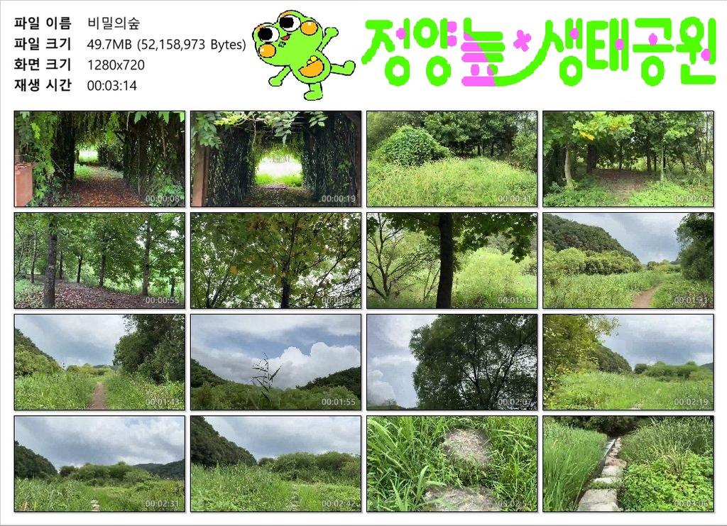 비밀의숲