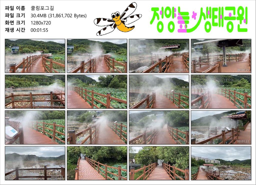 쿨링포그길