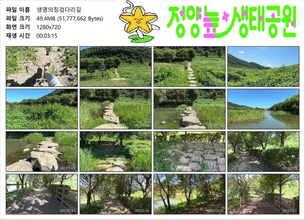 생명의징검다리길