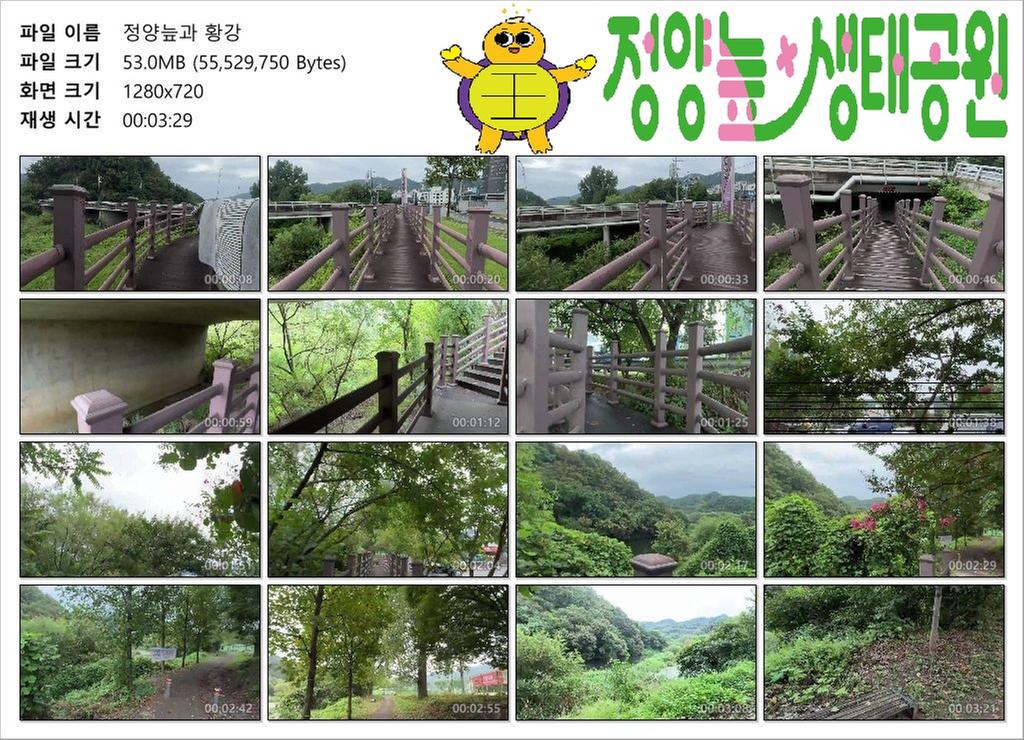 정양늪과황강