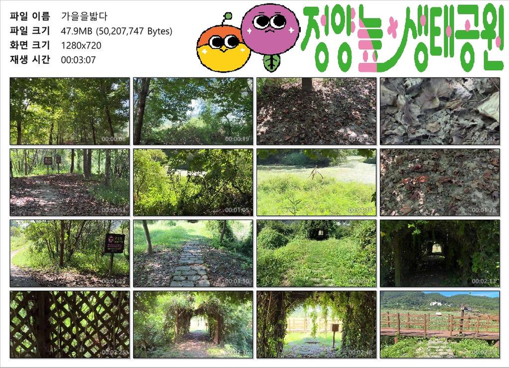 가을을밟다커버