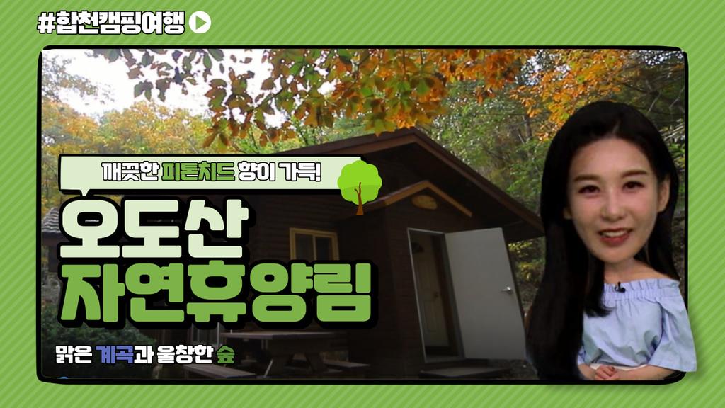 합천캠핑여행(오도산자연휴양림)