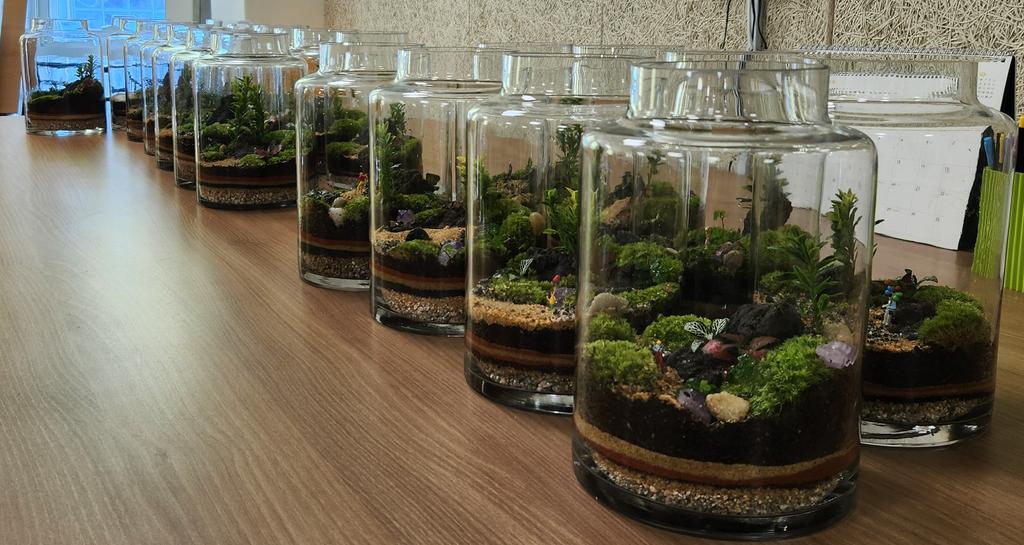 테라리움 완성품