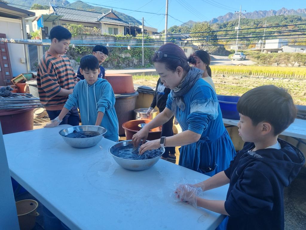 천연염색 체험