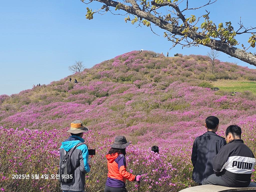 2군락지