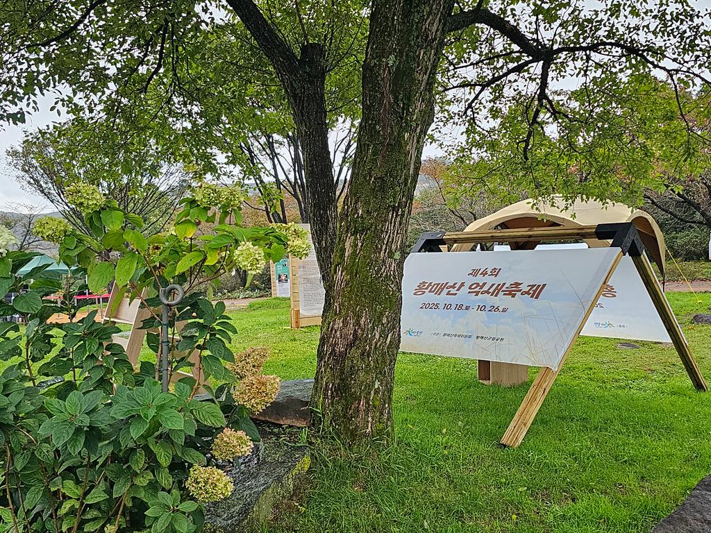 제4회 억새축제가 시작되었습니다.