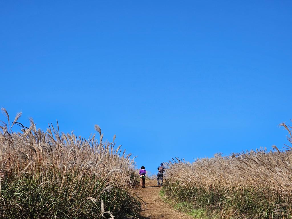 눈부신 푸르른 하늘이네요.
