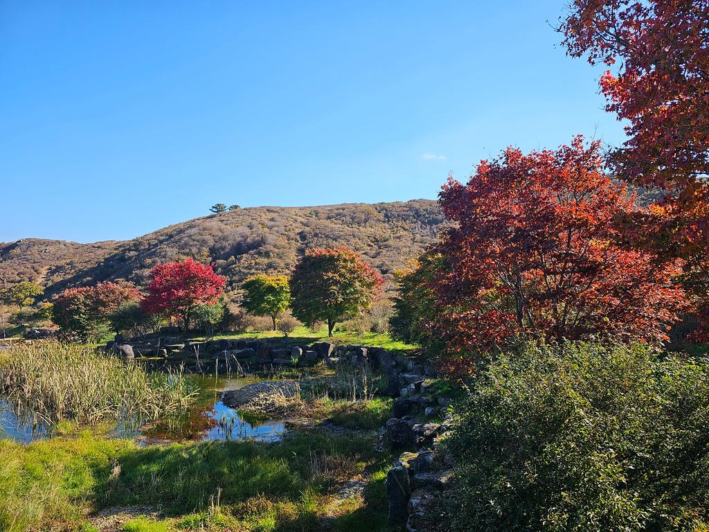 철쭉과억새사이건물 데크길에서