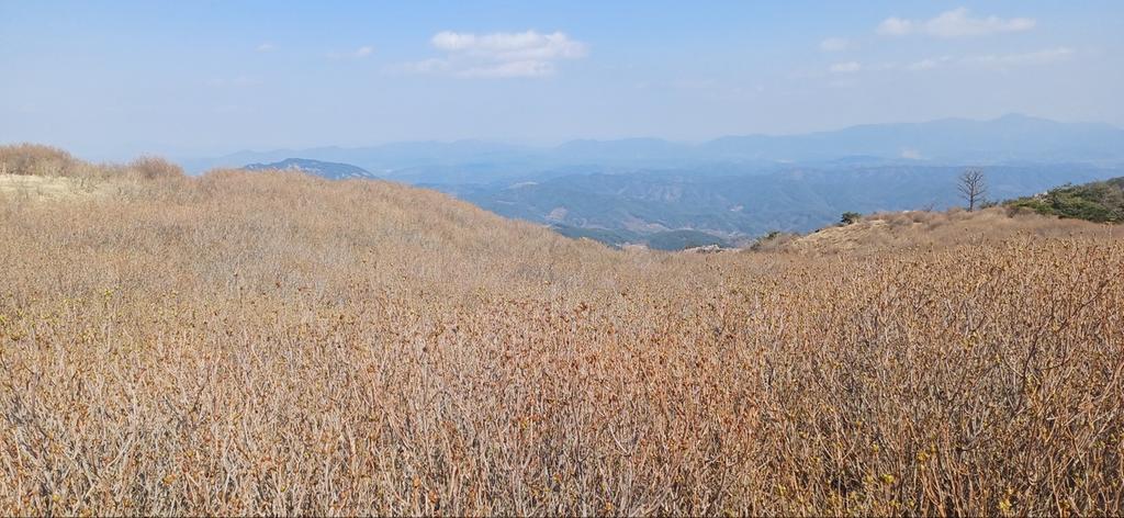제1군락지