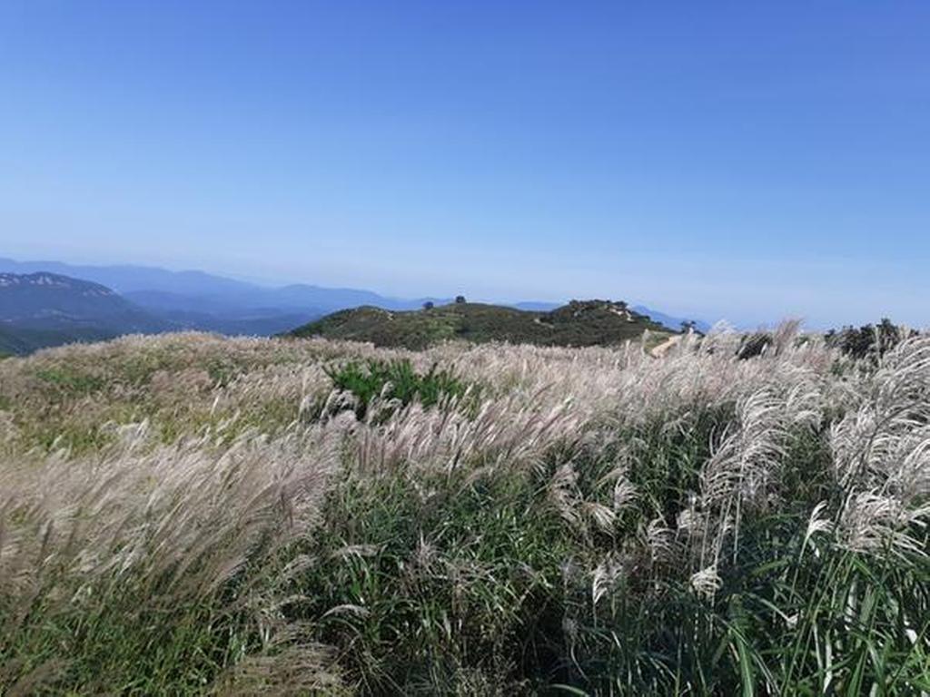 2022-09-07 황매산 억새
