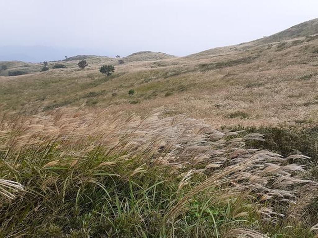 2022-09-15 황매산 억새