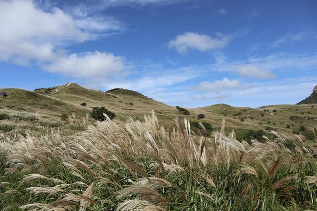 2022-09-22 황매산 억새