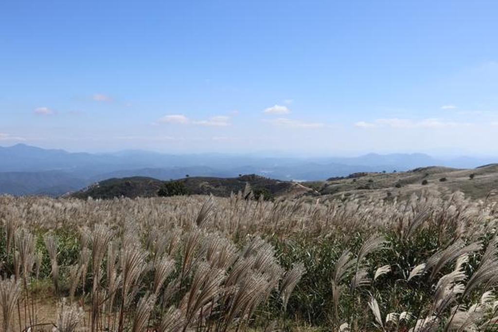 2022-09-27 황매산 억새
