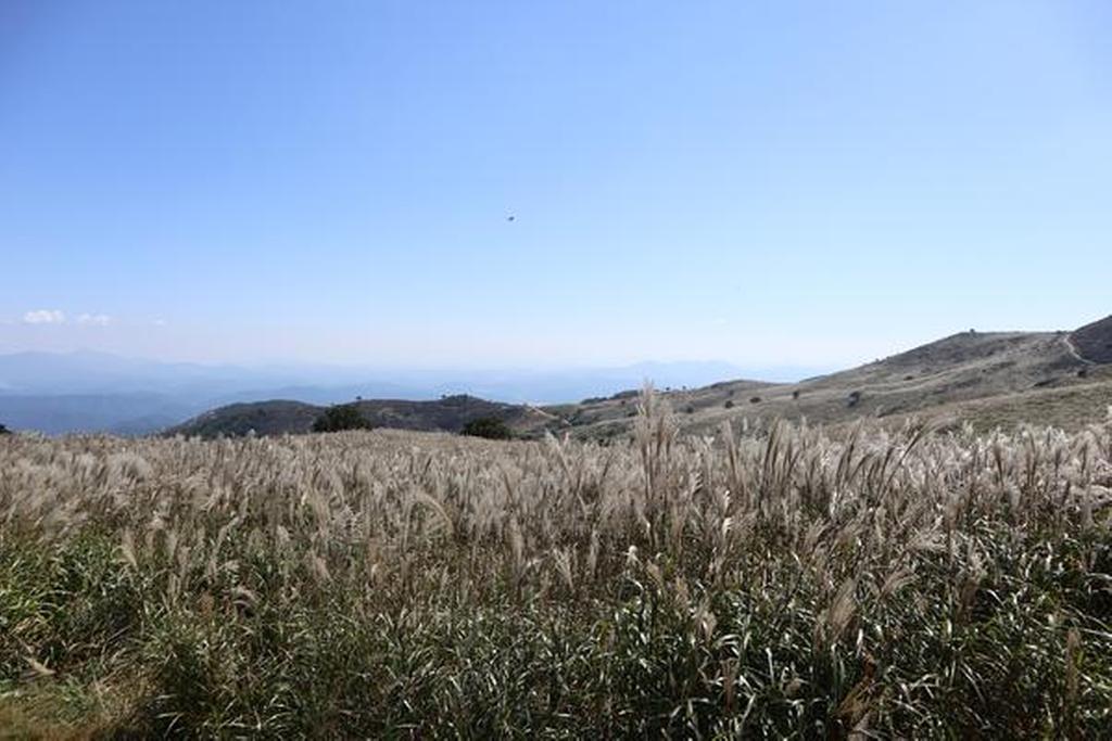2022-09-30 황매산 억새
