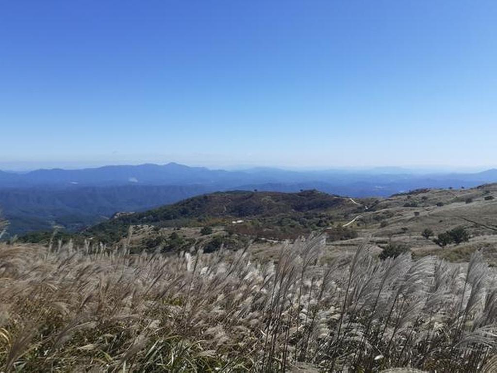 2022-10-14 황매산 억새