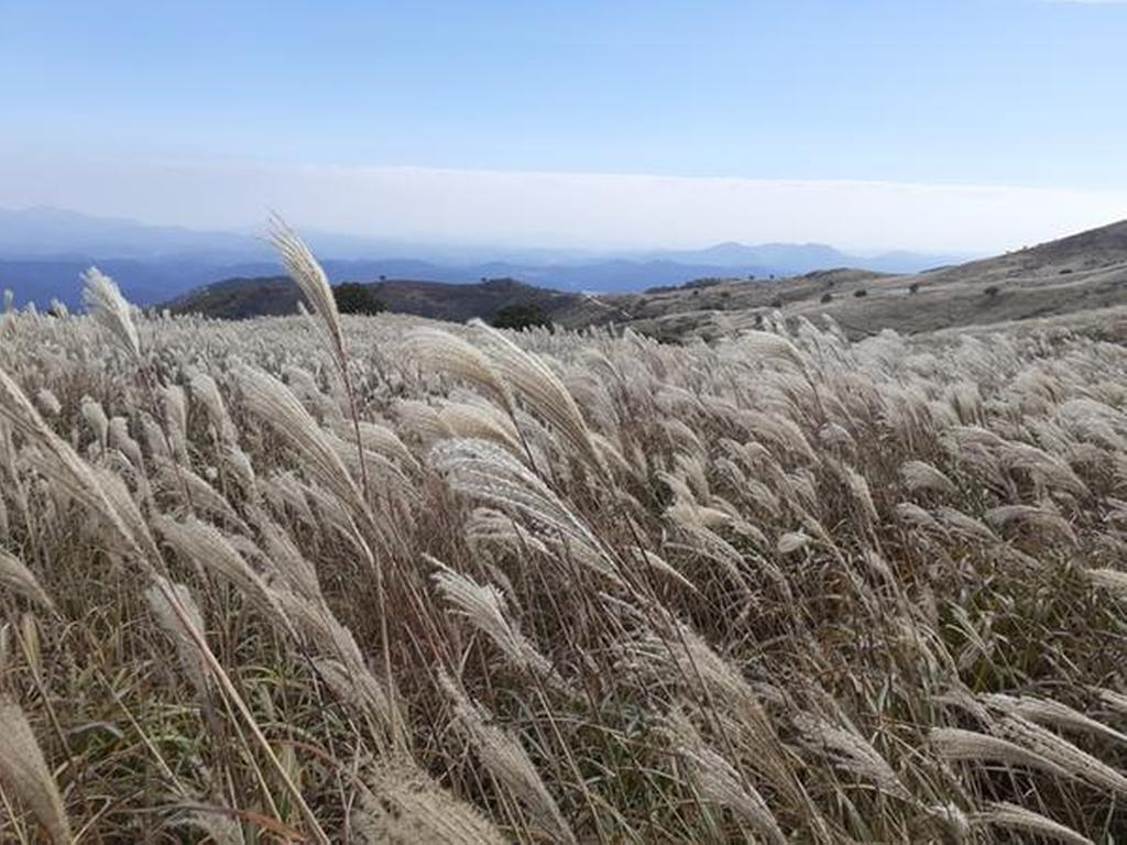 2022-10-17 황매산 억새