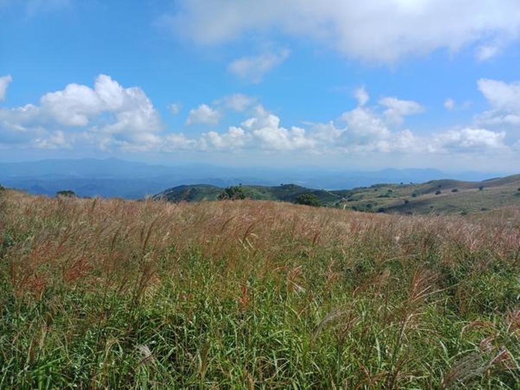 2023년 황매산 억새