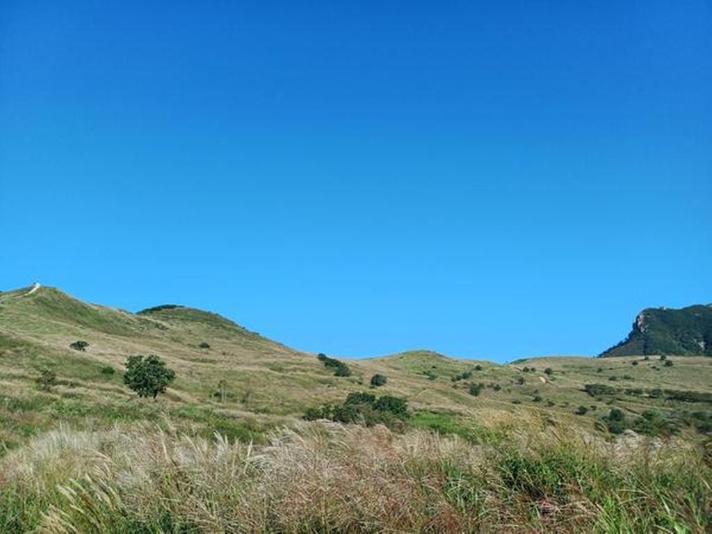 2023-9-6 황매산 억새