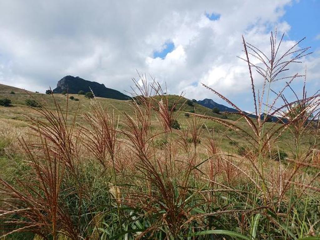 2023-9-11-황매산 억새
