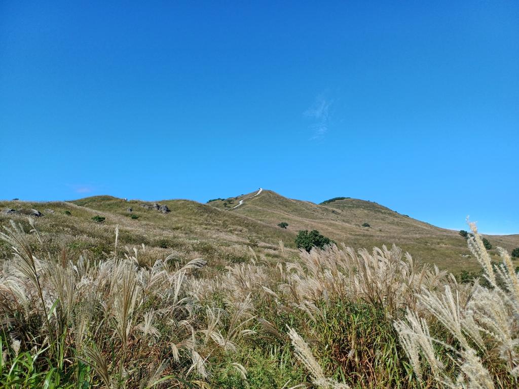 2023  10 - 1  황매산  억새
